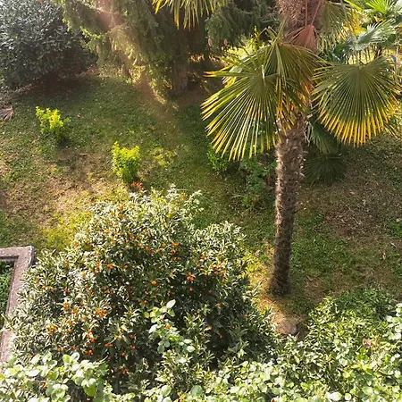 Appartement 2 Bedroom Amazing In *